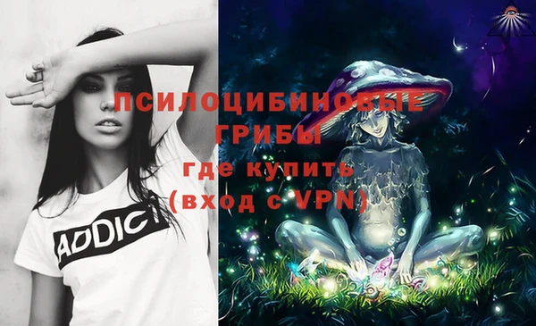 ПСИЛОЦИБИНОВЫЕ ГРИБЫ Армянск