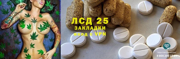 ПСИЛОЦИБИНОВЫЕ ГРИБЫ Армянск