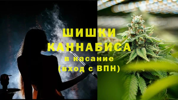 ПСИЛОЦИБИНОВЫЕ ГРИБЫ Армянск