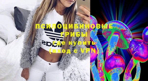 ПСИЛОЦИБИНОВЫЕ ГРИБЫ Армянск