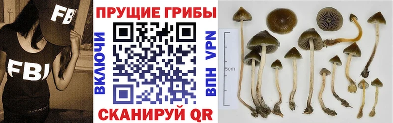 Галлюциногенные грибы мицелий как найти Тобольск